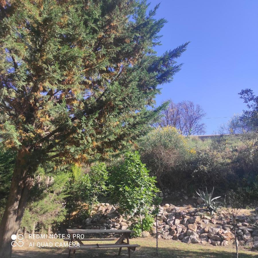 Villa Casaleno gite La Cigale avec wi-fi Millas Esterno foto